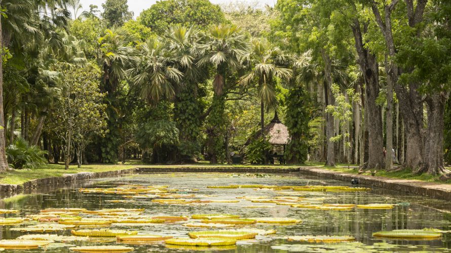 Giardini botanici di Pamplemousses