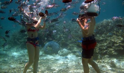 Underwater World, Mauritius