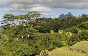 Perché a Mauritius?